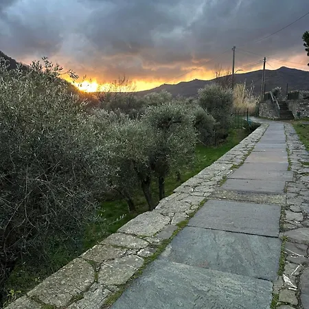 Le Cantine Della Nelli Bed & Breakfast